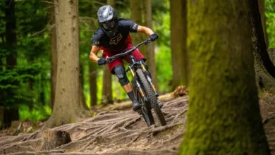 forest of dean bike hire