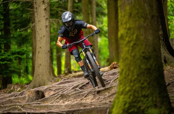 forest of dean bike hire