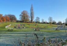 central park chelmsford