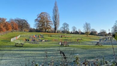 central park chelmsford
