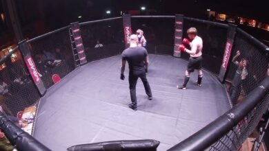 ultra mma